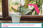 How to Start a Dirty Soda / Lemonade Stand in Florida